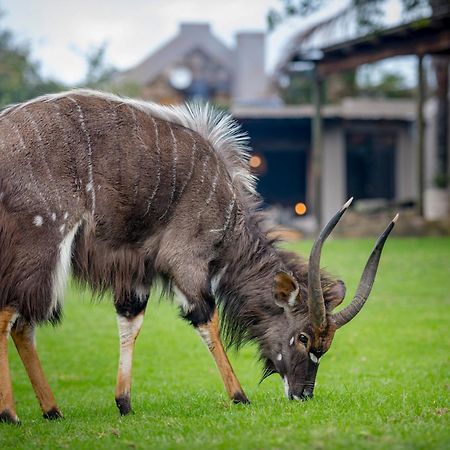Belle Balance Bush Lodge プレッテンバーグ・ベイ エクステリア 写真